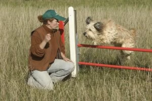Dog jumping over fence on agility course with trainer