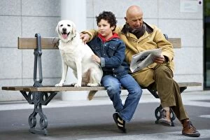 Dog - Labrador on bench with Man & boy reading newspaper