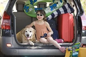 Images Dated 23rd April 2010: Dog - Labrador in back of car with your girl going