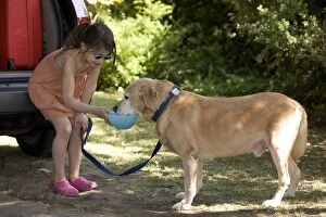 Images Dated 23rd April 2010: Dog - Labrador being given water by young girl