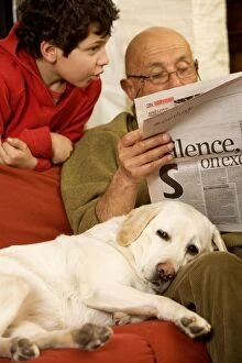 Images Dated 9th April 2005: Dog - Labrador resting on sofa with man & boy Dog - Labrador resting on sofa with man & boy