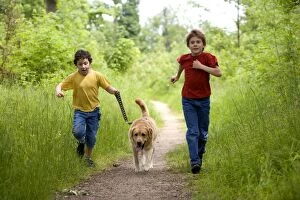 Dog - Labrador running along path on lead with two children