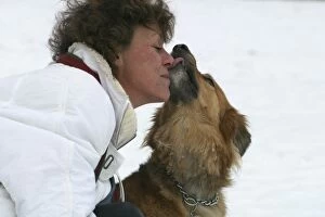 Images Dated 6th January 2003: Dog - licking woman's face