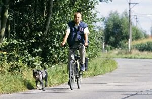 DOG - Man on bike with Schnauzer Dog