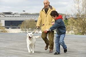 Images Dated 9th April 2005: Dog - Man & child walking Labrador on lead Dog - Man & child walking Labrador on lead