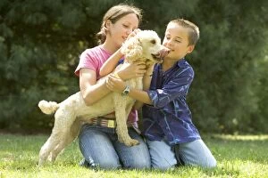 Images Dated 13th July 2005: Dog - mongrel with two young children
