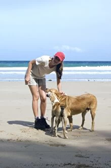 Dog - mongrels with tourist - Dogs roam free on