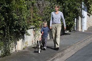 Dog - Mother & child walking Boston Terrier along pavement