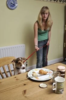 Images Dated 20th June 2009: DOG. owner using a house line to train dog