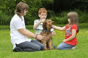 Images Dated 28th April 2009: Dog - Puppy (Briard) interacting with family