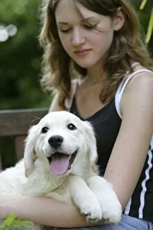 Affectionate Gallery: Dog - Retriever puppy with girl