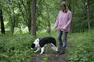 Images Dated 16th June 2007: DOG - scavenging while on a walk