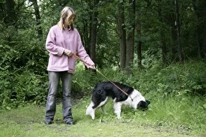 Images Dated 16th June 2007: DOG - scavenging while on a walk