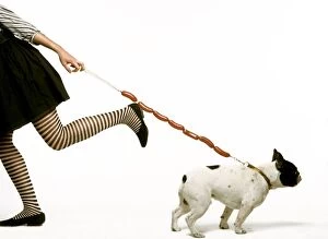 Dog - woman pulling dog on sausage lead