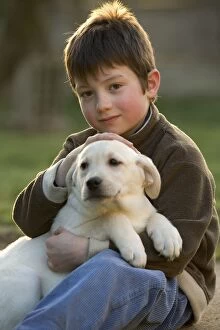 Dog - Yellow Labrador Retriever puppy being held by boy