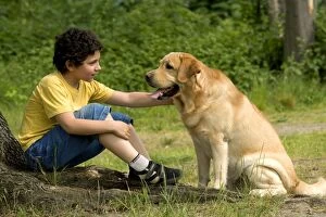 Dog - young boy talking to Labrador Retriever