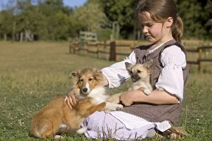 Dog - young girl cuddling Chihuahua & collie puppy