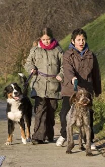 Images Dated 20th January 2007: Dogs - being walked by young children / teenagers