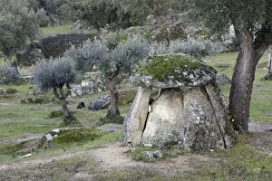 Images Dated 3rd April 2007: Dolmen Burial Chamber - from Megalithic era, beside San Vincente Alcantara, Extremadura, Spain