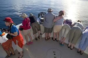 Dolphin-watching - tourists on Spirit of Adventure boat