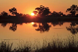Botswana Gallery: Dominant orange color during typical sunset