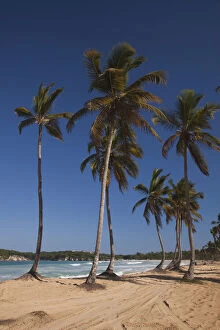 Dominican Republic, Punta Cana Region, El