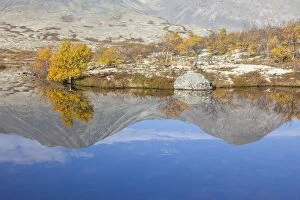Birch Gallery: Doralen autumn Mount Stygghoin reflection in lake Dorald