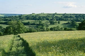 Images Dated 28th February 2006: Dorset UK - ancient field patterns. Kingcombe meadows, Nature Reserve