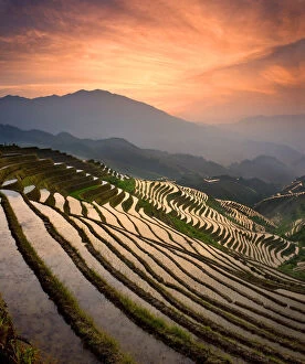 Backbone Gallery: Dragon's Backbone Rice Terraces near Yao