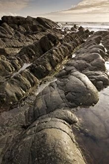 Images Dated 11th May 2011: The dramatic heavily-folded sandstone and mudstone rocks of Hartland Quay - north Devon - UK