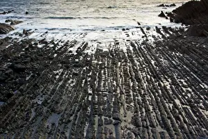 Atlantic Prints: The dramatic heavily-folded sandstone and mudstone rocks of Hartland Quay - north Devon - UK