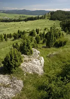 Slovakia Prints: Drevenik Nature Reserve, on a Travertine ridge (a type of extensive tufa)