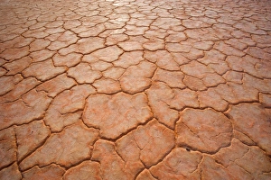 Images Dated 3rd June 2008: Dried-up earth - the hot sun in the Simpson Desert area blazes down onto the earth