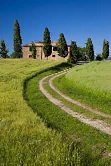 Images Dated 21st January 2013: Drive leading to country villa near Pienza