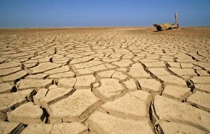 Drought - Cracked earth in the dry Huab River-mouth