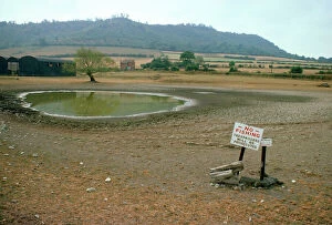 Ponds Collection: Drought - drying pond in 1976 summer drought. Shropshire, UK