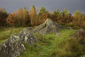 Images Dated 9th December 2006: Druid hill - Broceliande - Brittany - France