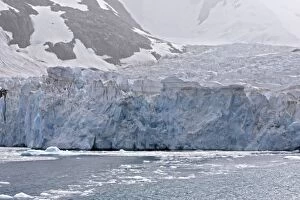 Drygalski fjord Ristinge glacier