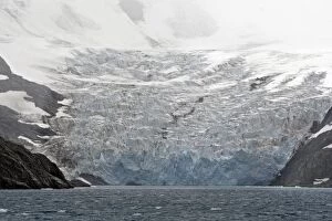 Images Dated 20th January 2008: Drygalski fjord - Ristinge Glacier