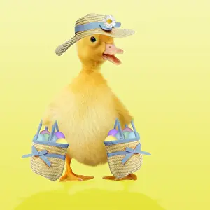 Eggs Prints: Duckling - in hat carrying easter eggs Digital Manipuation: Colour background - eggs - hat & bag (Su)