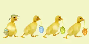 Ducklings - carrying easter eggs - one wearing a straw hat Digital Maipulation: ducklings LA - eggs hat & bag Su