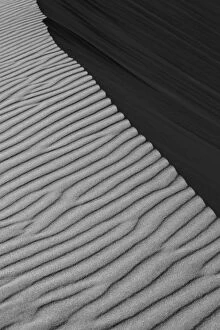 Images Dated 17th October 2008: Dune Fields - Namib Desert - Namibia - Africa