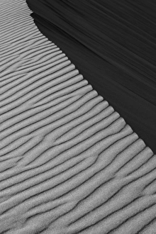 Images Dated 17th October 2008: Dune Fields - Namib Desert - Namibia - Africa