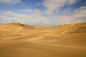 Dune scene - under a blue sky with light clouds - Dune Fields - Namib Desert - Namibia - Africa