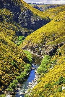 Dunedin Railways tour of the Taieri Gorge, Otago, South Island, New Zealand Date: 22-06-2021