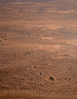 Images Dated 12th January 2009: Dunefields (dunes & interdune corridors) Simpson Desert, South Australia JPF41403