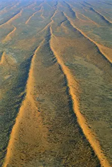 Dune Prints: Dunefields (dunes and interdune corridors) Simpson Desert, South Australia JPF41677