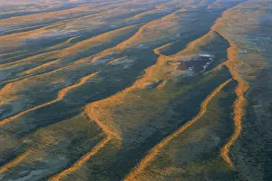 Deserts Prints: Dunefields, Longitudinal sand dunes over alluvial plain made of clay and gibber Southeast Simpson Desert