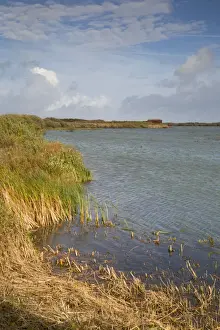 Kent Prints: Dungeness RSPB Reserve - Kent - UK