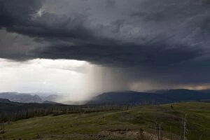 Dunraven Pass - thunderstorm in summer Yellowstone